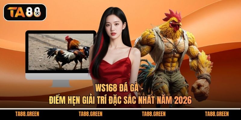 WS168 Đá Gà